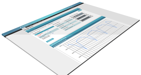 Audit Companion